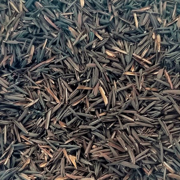 Casca de Arroz Carbonizada 300g Plante Life - foto 2