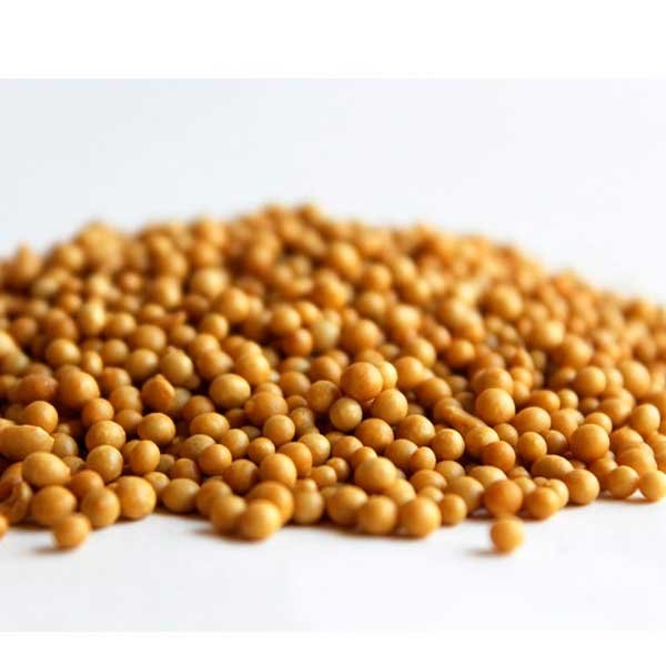 Osmocote 50g — Insumos e Adubos | Depósito Roseira